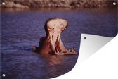 Tuindecoratie Nijlpaard - Water - Bek - 60x40 cm - Tuinposter - Tuindoek - Buitenposter