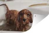 Tuinposter - Tuindoek - Tuinposters buiten - Natte hond in bad - 120x80 cm - Tuin