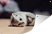 Muurdecoratie Kitten die muis omhelst - 180x120 cm - Tuinposter - Tuindoek - Buitenposter