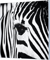 Wandpaneel Zebra close-up zwart wit  | 100 x 100  CM | Zwart frame | Wandgeschroefd (19 mm)