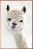 JUNIQE - Poster met kunststof lijst Alpaca met scheve kop -60x90 /Wit