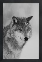 JUNIQE - Poster in houten lijst The Wolf -60x90 /Grijs