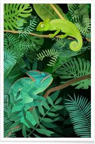 JUNIQE - Poster Chameleons -13x18 /Groen