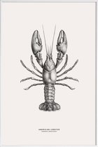 JUNIQE - Poster in kunststof lijst American Lobster -30x45 /Grijs &