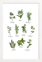 JUNIQE - Poster met houten lijst Herbs Collection -13x18 /Groen & Wit