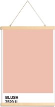 JUNIQE - Posterhanger Blush -20x30 /Roze & Wit