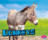 Farm Animals - Donkeys