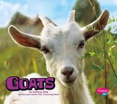 Farm Animals - Goats