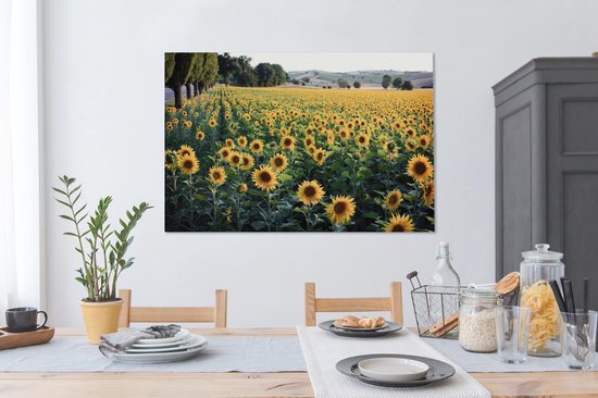 Peintures sur toile - Tournesol - Colline - Printemps - 120x80 cm - Décoration murale
