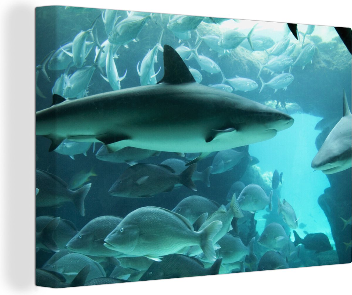 Canvas Schilderij Grote haai in een aquarium - 30x20 cm - Wanddecoratie