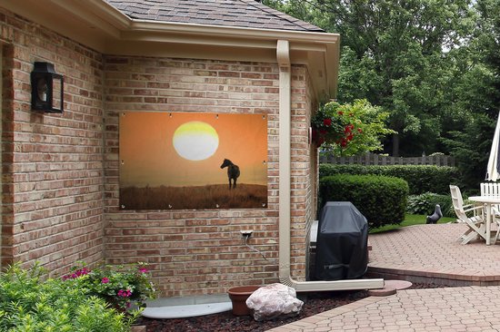 Affiche de jardin Cheval sauvage sur prairie 120x80 cm - Toile de jardin / Toile d'extérieur / Peintures pour l'extérieur (décoration de jardin)