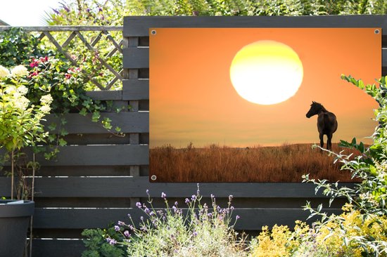 Affiche de jardin Cheval sauvage sur prairie 120x80 cm - Toile de jardin / Toile d'extérieur / Peintures pour l'extérieur (décoration de jardin)