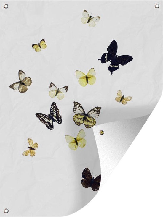 Tuin decoratie Vlinders op witte achtergrond - 30x40 cm - Tuindoek - Buitenposter