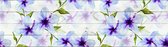 Sanders & Sanders zelfklevende behangrand bloemen wit, groen en paars - 600087 - 14 x 500 cm