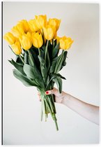 Dibond - Bos Gele Tulpen in Hand - 40x60cm Foto op Aluminium (Met Ophangsysteem)