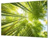 Wandpaneel Groen bamboe bos  | 100 x 70  CM | Zilver frame | Wand-beugels (27 mm)