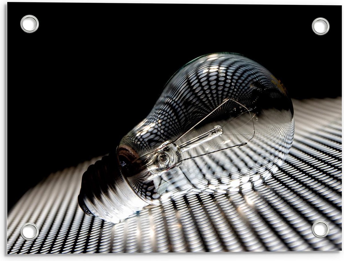 Tuinposter – Gloeilamp op Rooster - 40x30cm Foto op Tuinposter (wanddecoratie voor buiten