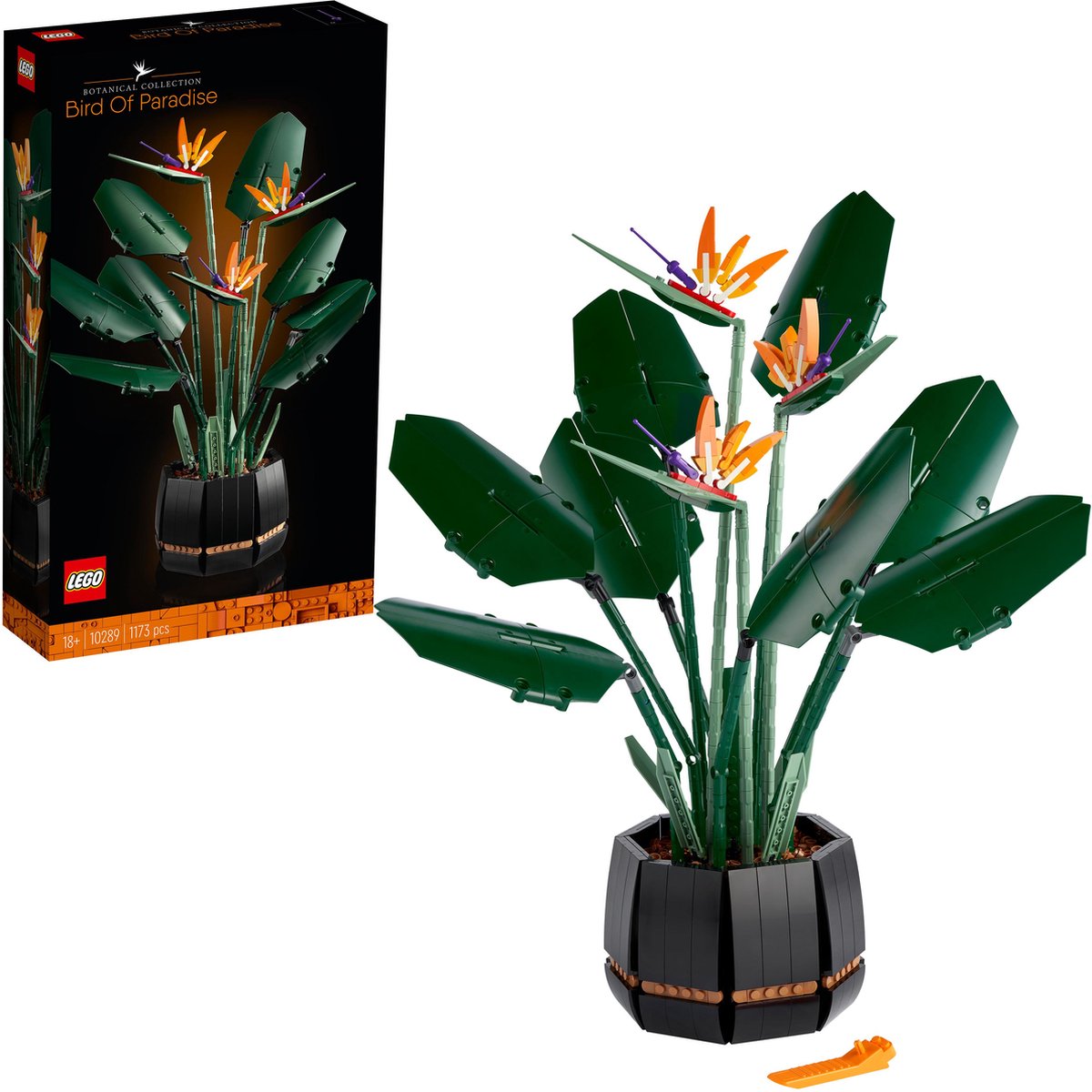 LEGO Botanicals Paradijsvogelplant 10289 — afbeelding 2