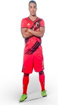 Levensgrote kartonnen Youri Tielemans, met steunvoet om makkelijk op te zetten.