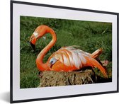 Fotolijst incl. Poster - Flamingo die haar kuiken onder haar vleugel beschermd - 40x30 cm - Posterlijst