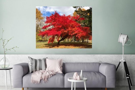 Canvas Schilderij Rode bladeren van een Japanse esdoorn - 90x60 cm - Wanddecoratie