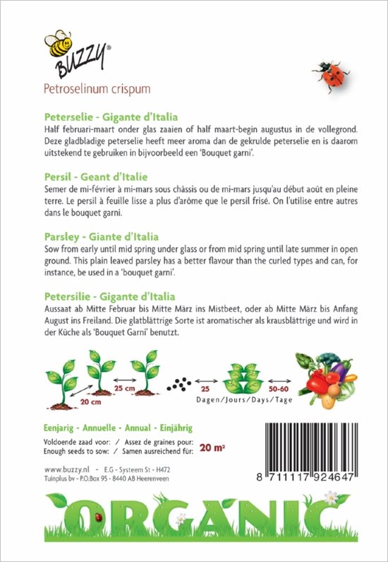 Buzzy® Organic - Peterselie Gigante D'Italia (BIO) - Buzzy Seeds