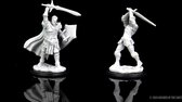 Dungeons and Dragons: Nolzur's Marvelous Miniatures - Male Human Paladin
