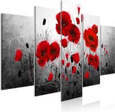 Schilderij - Enchanted Poppies-200x100