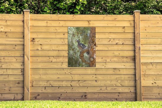 Tuinposter 60x90 cm - Tuindecoratie Houtduif - Boom - Natuur - Poster voor in de tuin - Buiten decoratie - Schutting tuinschilderij - Tuindoek muurdecoratie - Wanddecoratie balkondoek