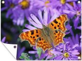 Tuinposter - Tuindoek - Tuinposters buiten - Vlinder gehakkelde aurelia op paarse bloemen - 120x90 cm - Tuin