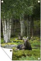 Tuinposters buiten Liggende eland in het bos - 60x90 cm - Tuindoek - Buitenposter