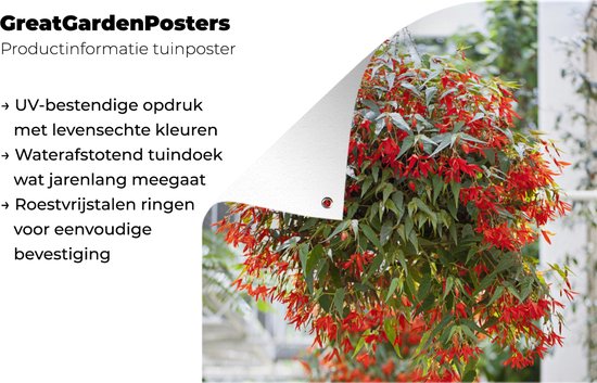 Plante à suspendre à fleurs rouges 120x180 cm XXL / Groot format!