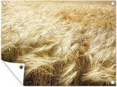 Affiche de jardin Un champ de céréales d'en haut 80x60 cm - Toile de jardin / Toile d'extérieur / Peintures d'extérieur (décoration de jardin)