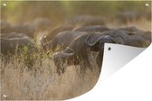 Tuindecoratie Een kudde buffels in de savannes van het Nationaal park South Luangwa - 60x40 cm - Tuinposter - Tuindoek - Buitenposter