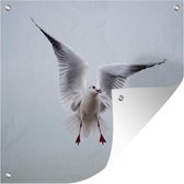 Tuindoek Meeuw - Vleugels - Vogel - 100x100 cm
