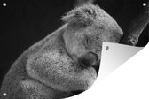 Muurdecoratie Koala - Tak - Zwart - Kids- Jongens - Meisjes - 180x120 cm - Tuinposter - Tuindoek - Buitenposter