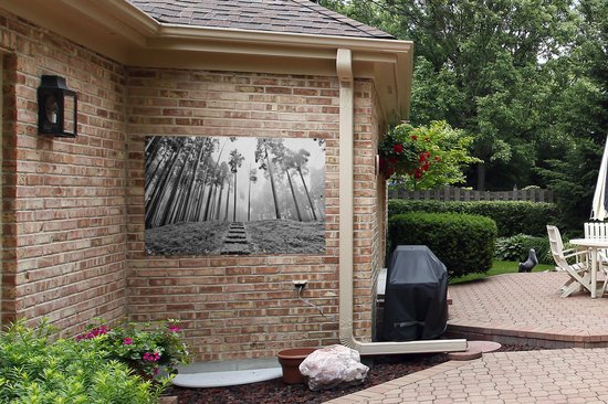 Affiche de jardin photo Zwart et blanc d'un escalier entre les arbres dans la brume 120x80 cm - Toile de jardin / Toile d'extérieur / Peintures d'extérieur (décoration de jardin)
