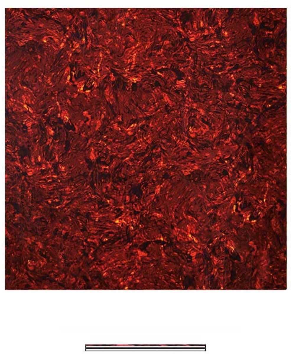 Boston PG-433-TI pickguard material, 4 ply, 30x29cm, tortoise intense
