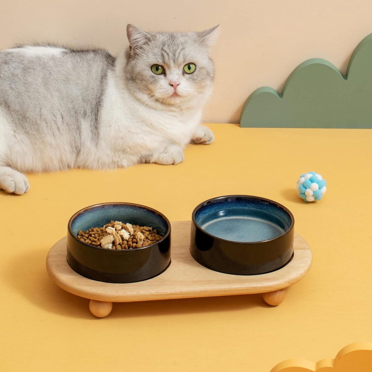 Ceramic Cat Feeder - Starry Sky Cat Food and Water Bowl with Stand