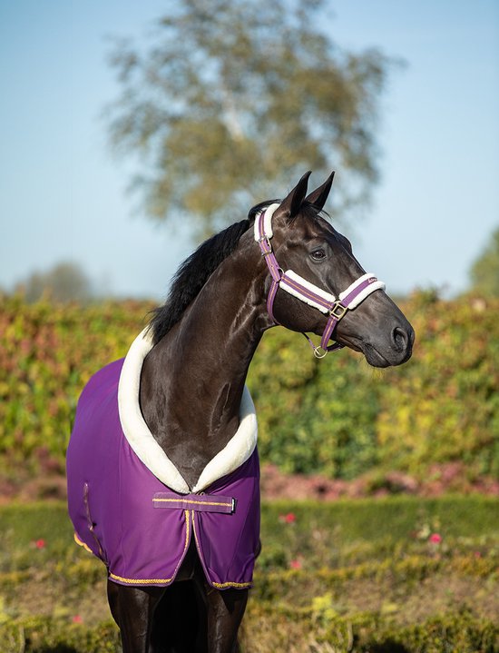 Bruin paard met paarse zweetdeken met crème fleece kraag en gouden bies.