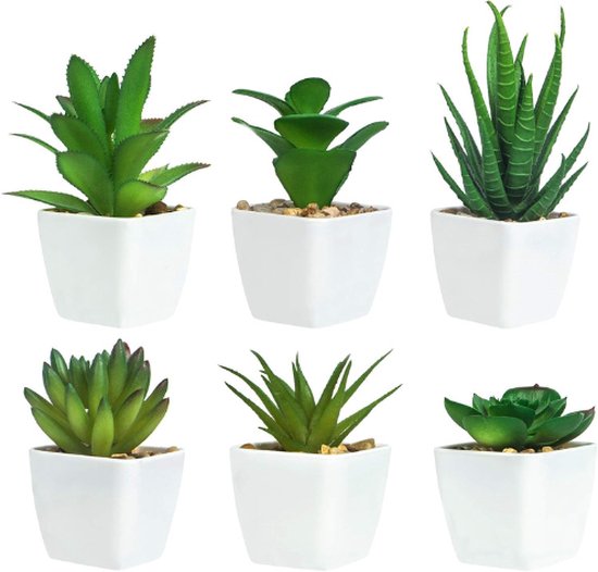 Vasemouh Set van 5 kunstplanten, vetplanten, realistische imitatieplanten, potten voor thuis, kantoor, bureau, decoratie