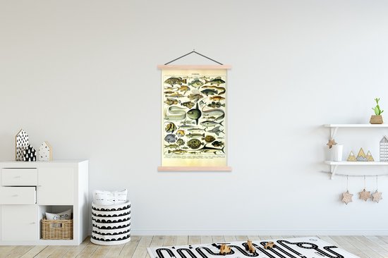 Affiche scolaire - Pêche - Animaux - Vintage - 120x180 cm - Lattes vierges