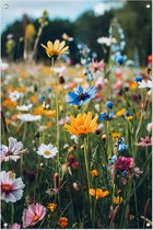 Affiche de jardin transparente - Affiche de Fleurs - Posters de jardin Plantes - Posters de jardin - Tableaux de jardin pour l'extérieur - Décoration de Jardin pour l'extérieur affiche de jardin 50x75 cm