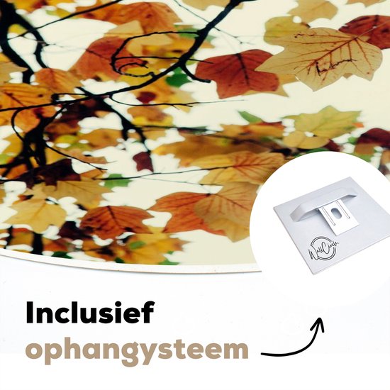 WallCircle - Wall Circle - Wall Circle Indoor - Arbres - Feuilles d'Automne - Nature - 120x120 cm - Décoration murale - Peintures Ronds XXL