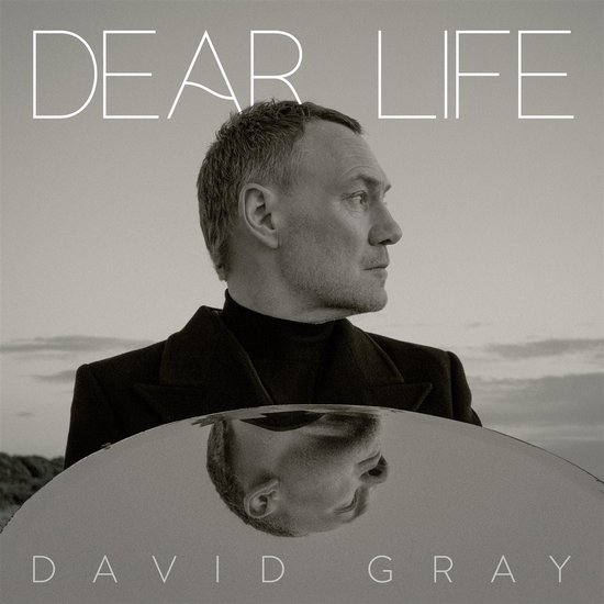 David Gray - Dear Life (2 LP)