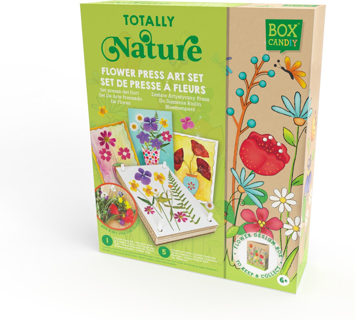 Box Candiy bloemenpers educatief speelgoed multicolor kunststof.