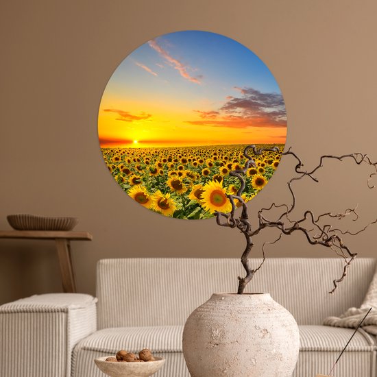 Papier peint cercle - Tournesol - Fleurs - Champ - Jaune - Papier peint autocollant - 50x50 cm - Papier peint cercle fleurs - Papier peint autocollant - Papier peint cercle - Papier peint rond - Papier peint cercle autocollant