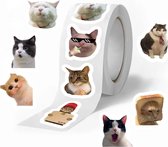 500 Gekke Kat Stickers - Grappige Sticker - Humor - Kado - Poes - Dieren
