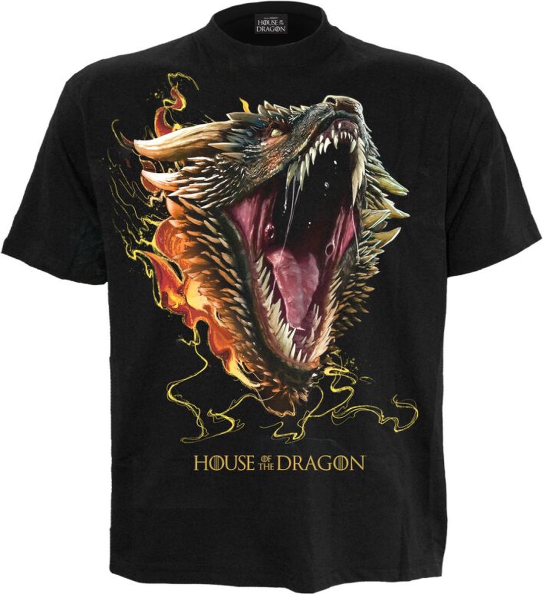 Game Of Thrones House of the Dragon - 2 - Drogon Heren T-shirt - zwart - XXL