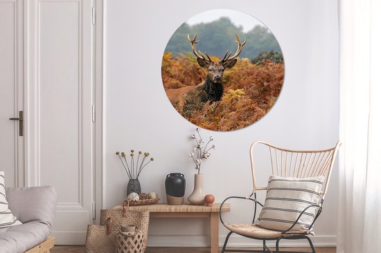 Een hert met geweien in een bos met herfstkleuren, boven een houten meubel met vazen en manden.